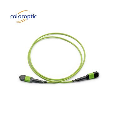 Single Mode MTP Patch Cord MTP Connector G652D / G657A1 / G657A2 vezel