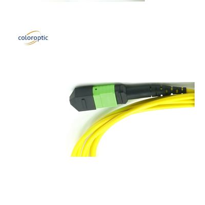 OM3 MPO Patch Cord 12 Core Aqua Fiber Optic Connector voor efficiënte netwerken