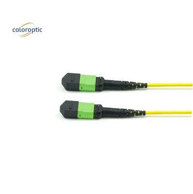 Passiv optisch enkelmodus patch cord MPO-12 / APC-to-MPO12 / APC