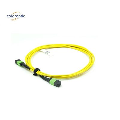 OM3 MPO Patch Cord 12 Core Aqua Fiber Optic Connector voor efficiënte netwerken