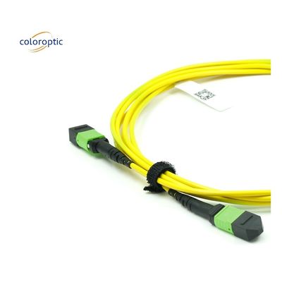 Single Mode MPO-optische kabel OM3-vezel met PVC-mantel