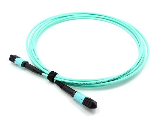 Multimode 16-vezel Mpo-stamkabel voor 400 g Qsfp-DD-modules in AI-netwerk