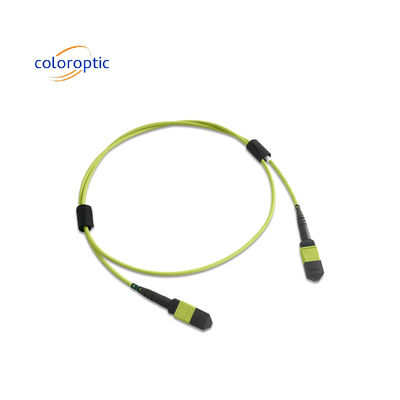 Multi-vezel MPO Patch Cord PVC Jacket 12 Core OM5 Vrouwelijke tot Vrouwelijke Connector PC Polijsten