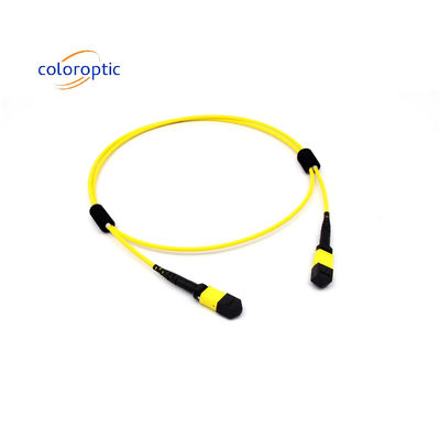 Mtp(Mpo) Patch Cable SingleMode 12 Fibre Type B Vrouwelijke naar Vrouwelijke Connector PC Polijst