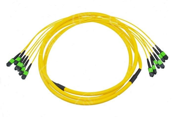 12 Cores MPO Fiber Patch Cable voor datacenterkabelverbinding