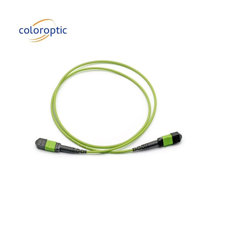 Single Mode MTP Patch Cord MTP Connector G652D / G657A1 / G657A2 vezel
