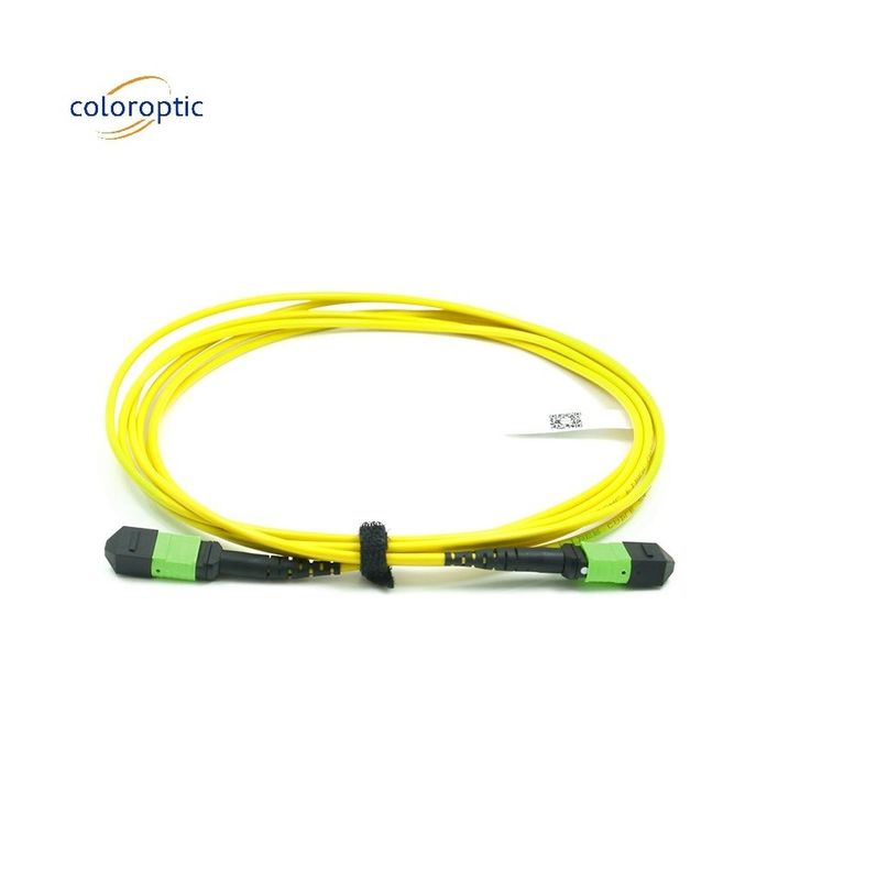 Passiv optisch enkelmodus patch cord MPO-12 / APC-to-MPO12 / APC