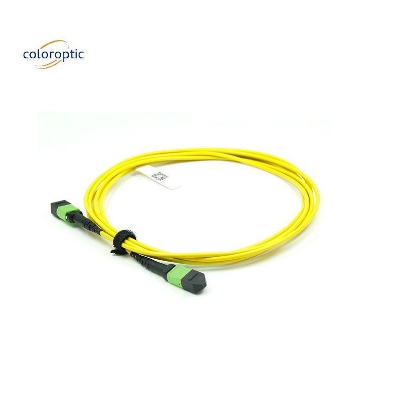 OM3 MPO Patch Cord 12 Core Aqua Fiber Optic Connector voor efficiënte netwerken