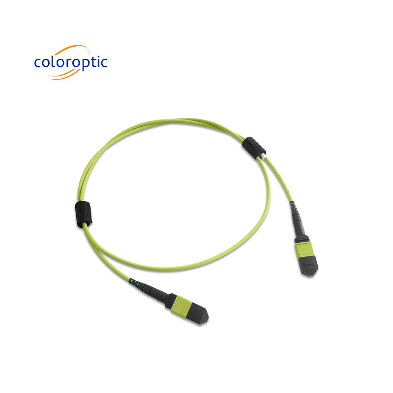 Multi-vezel MPO Patch Cord PVC Jacket 12 Core OM5 Vrouwelijke tot Vrouwelijke Connector PC Polijsten