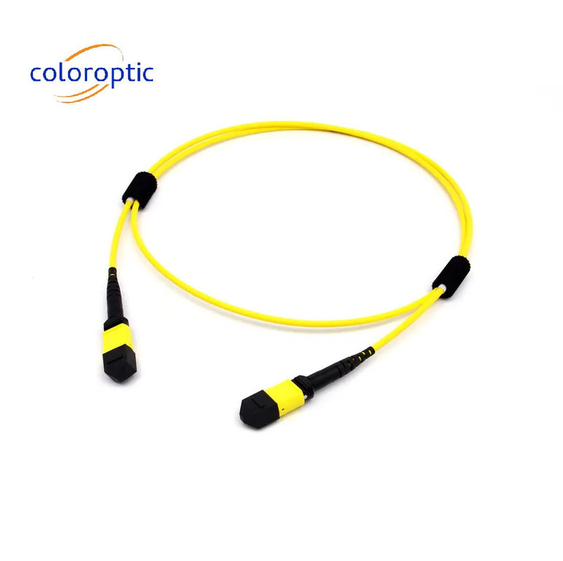 Multi-Mode fiber MTP MPO 16 FIBRE OM5 (50/125) PATCH CABLE voor SR8 400G QSFP-DD en OSFP 400G SR8 PAM4