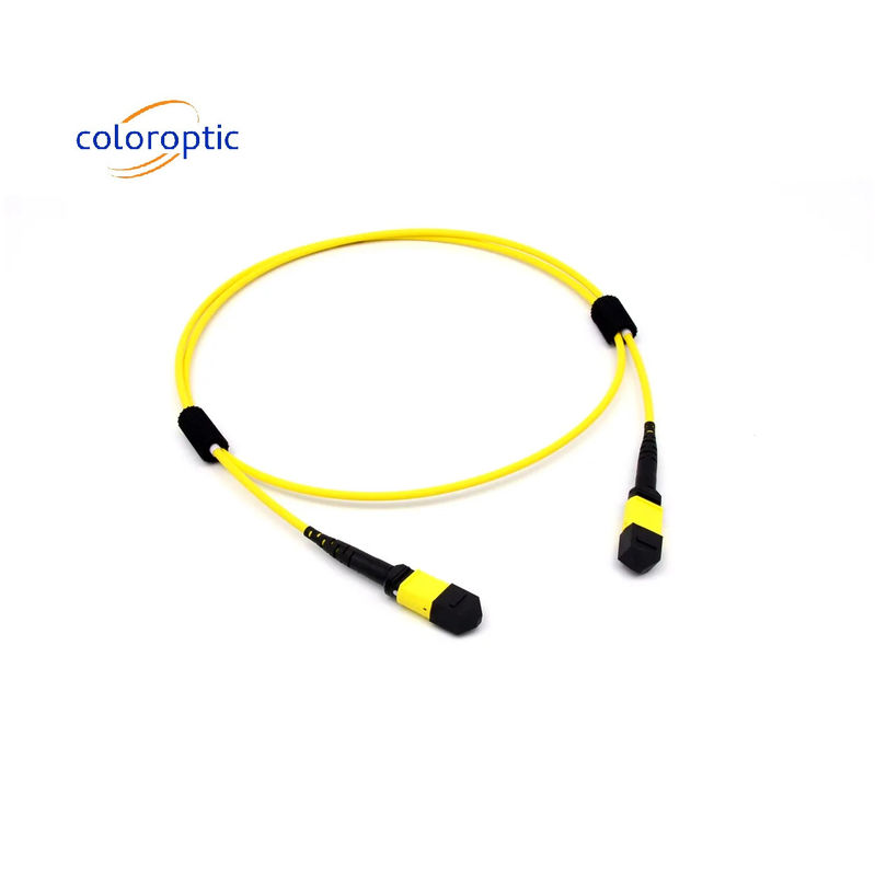 Mtp(Mpo) Patch Cable SingleMode 12 Fibre Type B Vrouwelijke naar Vrouwelijke Connector PC Polijst